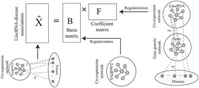 Predicting lincRNA-Disease Association in Heterogeneous Networks Using Co-regularized Non-negative Matrix Factorization